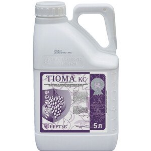 Тиома