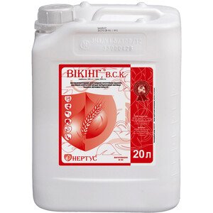 Викинг