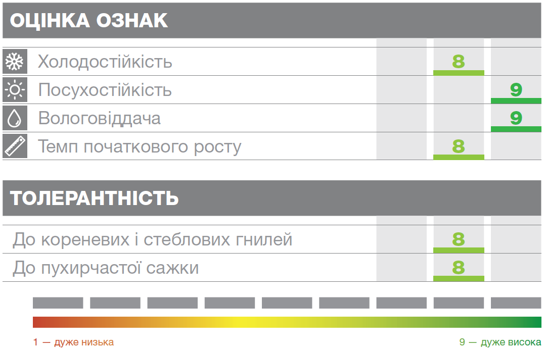 Основні характеристики кукурудзи Премео