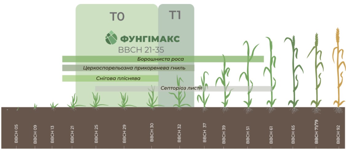 Трьохкомпонентний фунгімакс – повний контроль хвороб пшениці у т0/т1