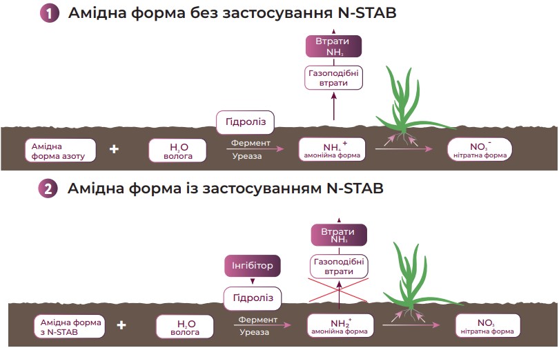 Втрати азоту при використанні КАС