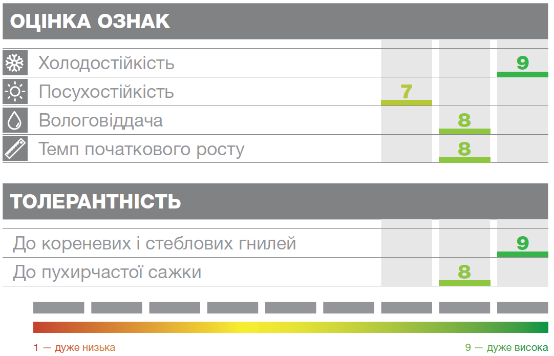 Кукурудза СИ МАРІМБА Сингента Характеристики