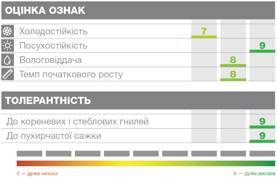 характеристики кукурудзи Октеон Сингента
