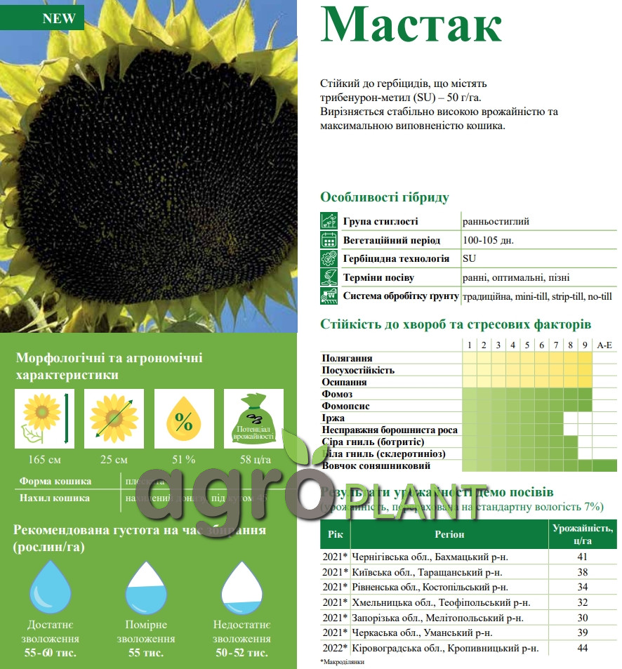 Семена подсолнечника Мастак ВНИС