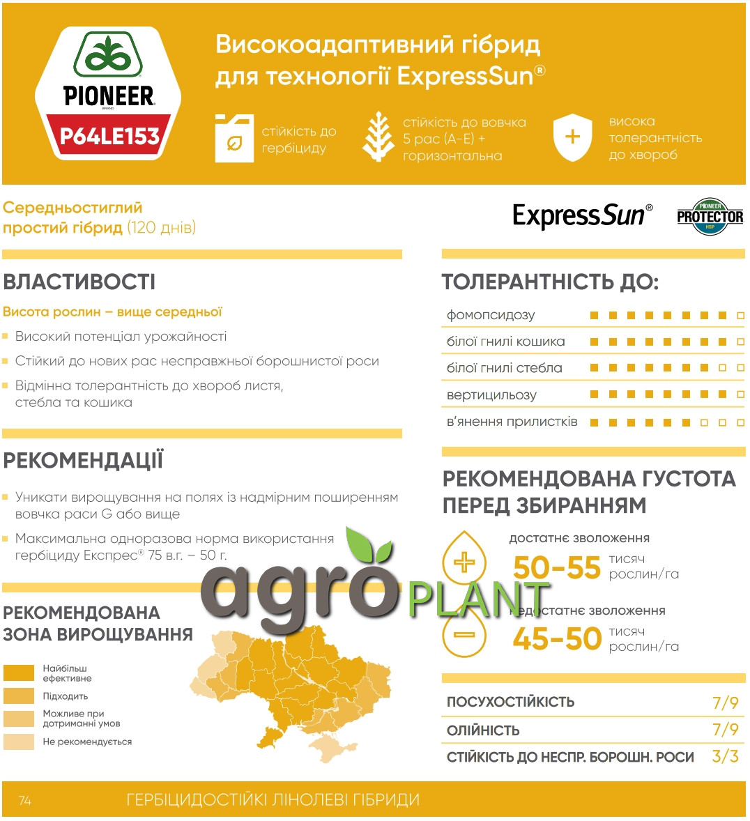 Інформація про соняшник П64ЛЕ153 / P64LE153 з каталога Піонер / Pioneer Інформація про соняшник П64ЛЕ153 / P64LE153 з каталога Піонер / Pioneer