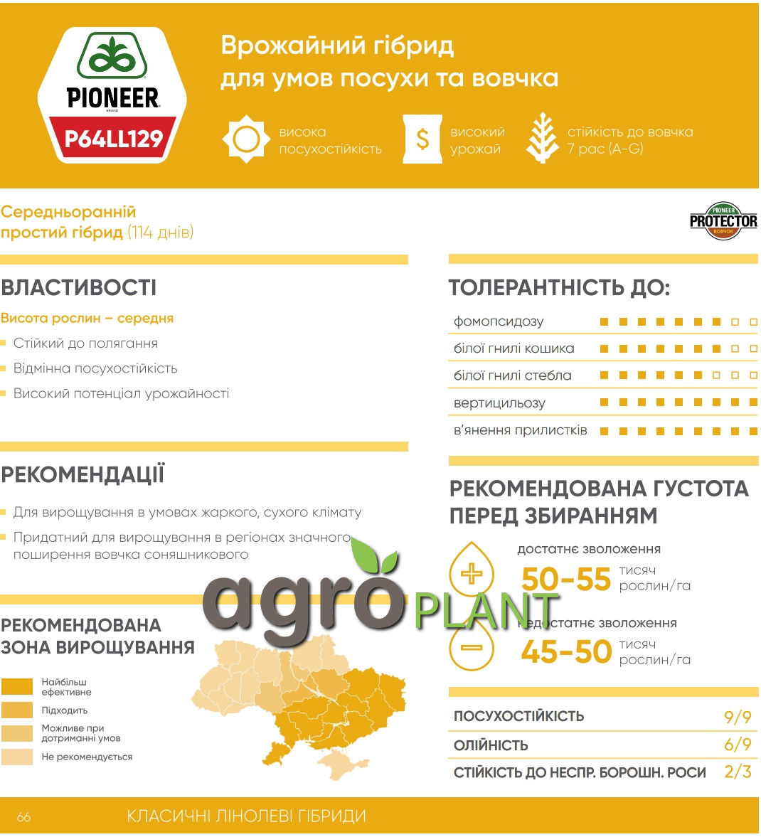 Інформація про соняшник П64ЛЛ129 / P64LL129 з каталога Піонер / Pioneer