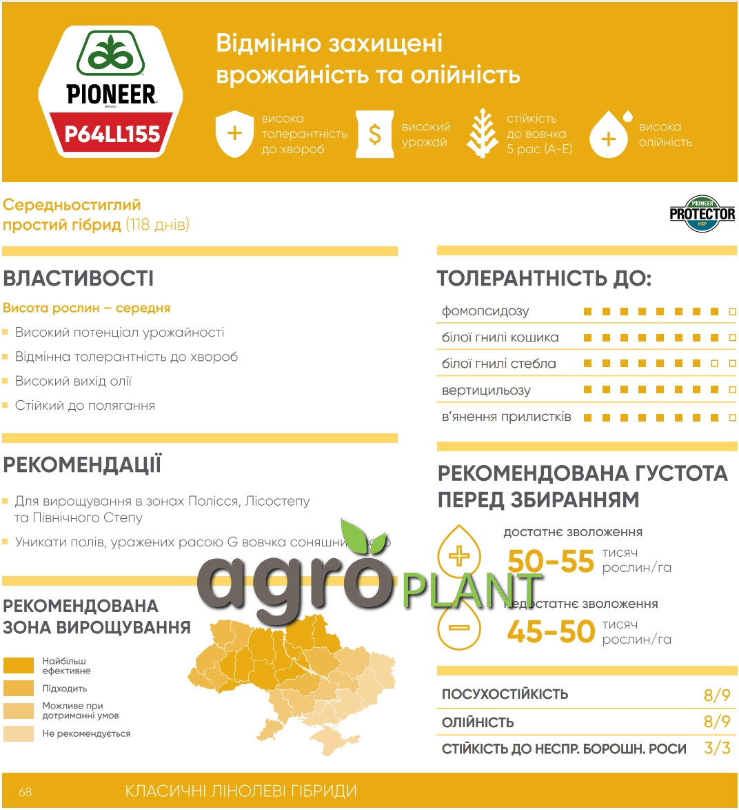 Інформація про соняшник П64ЛЛ155 / P64LL155 з каталога Піонер / Pioneer