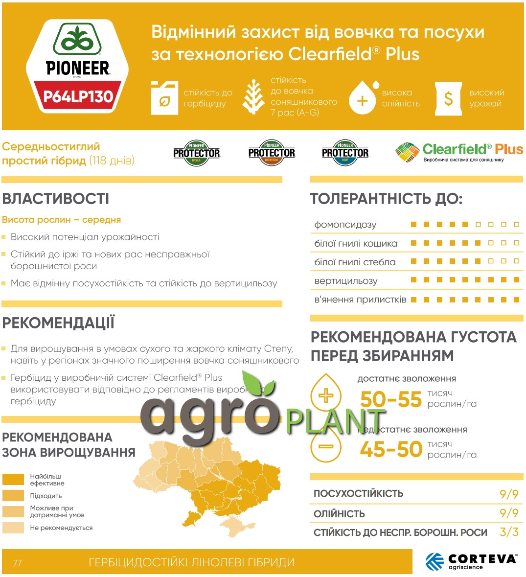 P64LP130 Піонер 130 соняшник Clearfield Plus — офіційна інфографіка