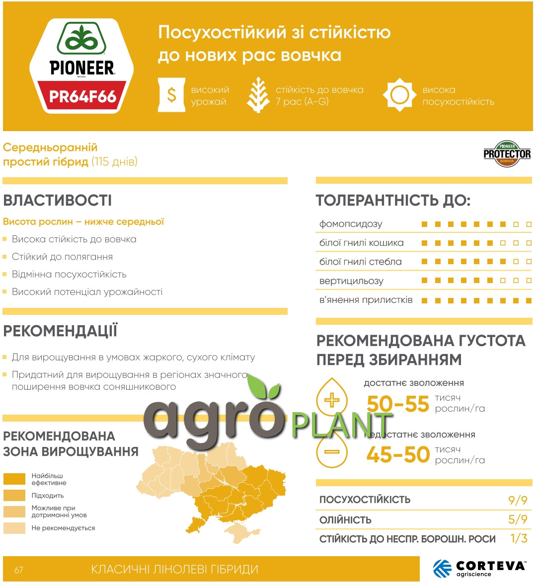 Інформація про соняшник ПР64Ф66 / PR64F66 з каталога Піонер / Pioneer