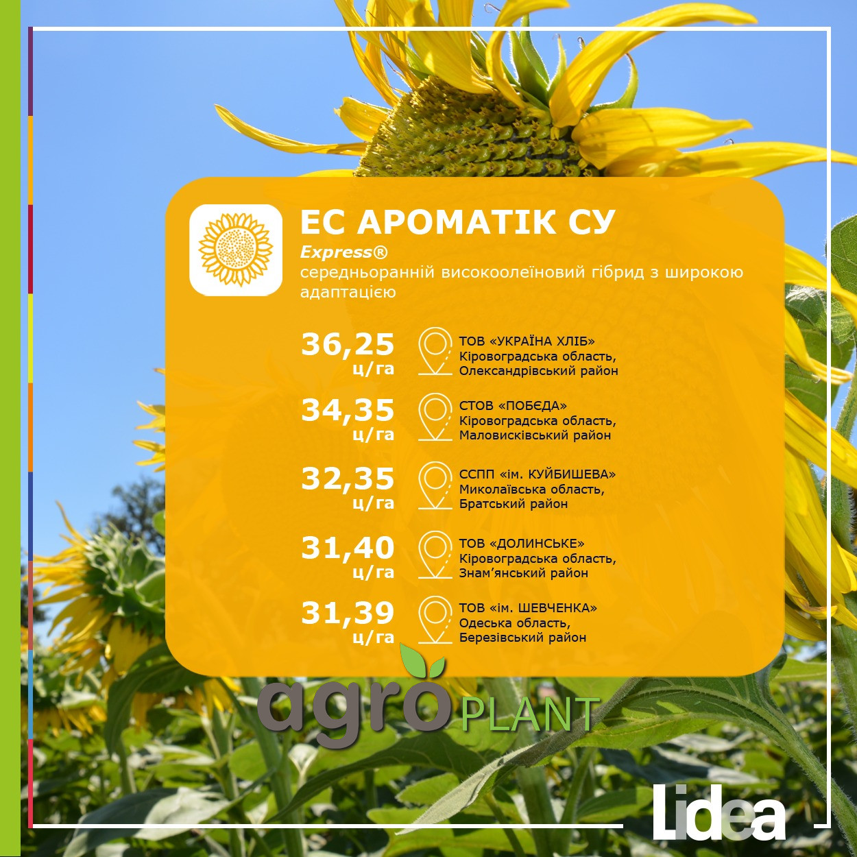 врожайність соняшника Ароматік