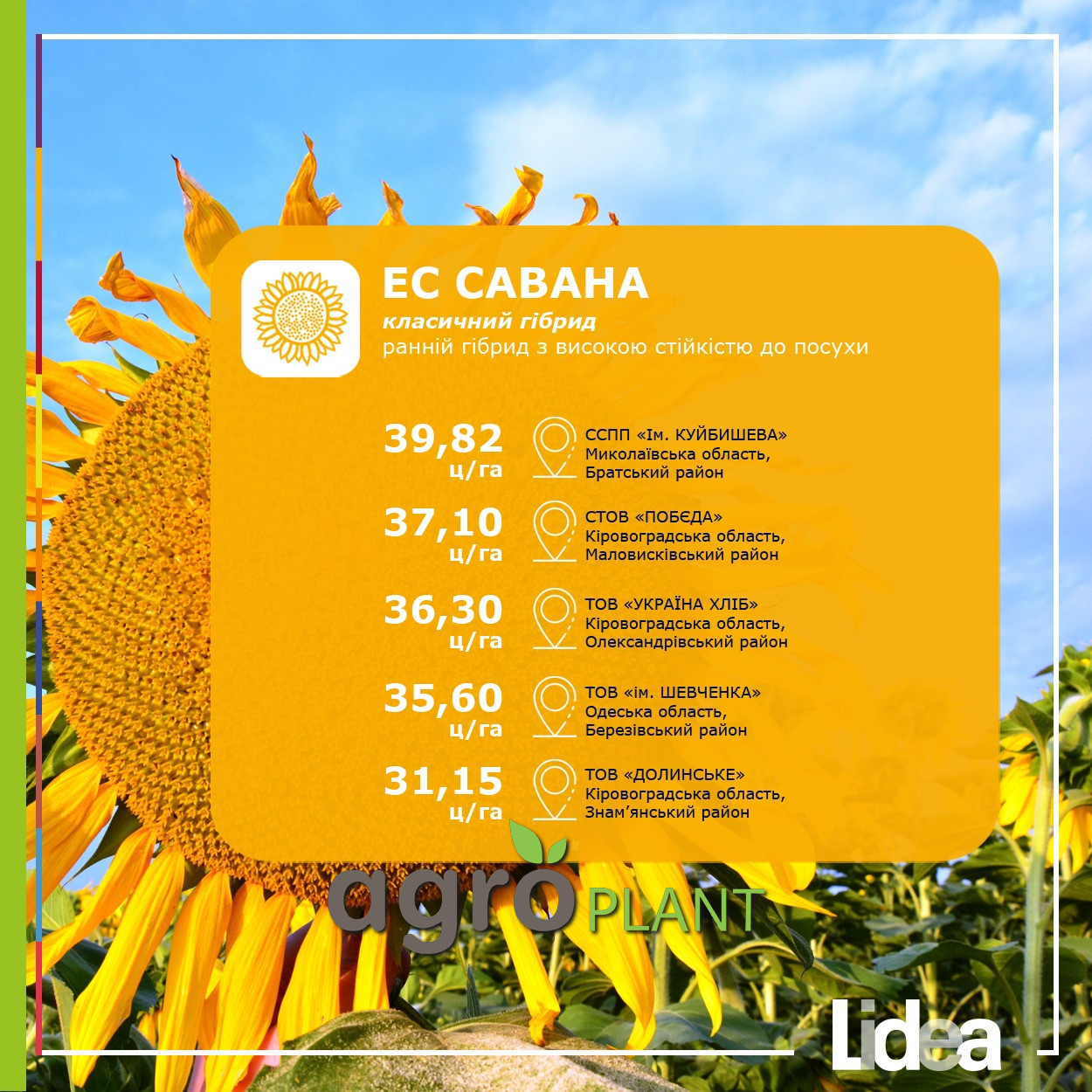 Урожайность подсолнечника Саванна