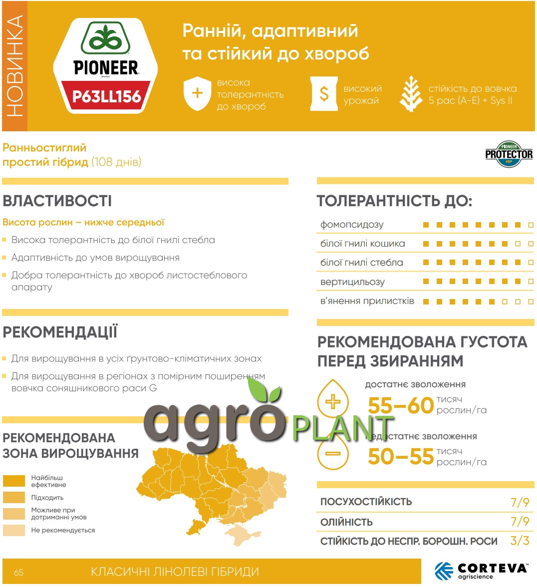 Інформація про соняшник П63ЛЛ156 / P63LL156 з каталога Піонер / Pioneer Інформація про соняшник П63ЛЛ156 / P63LL156 з каталога Піонер / Pioneer