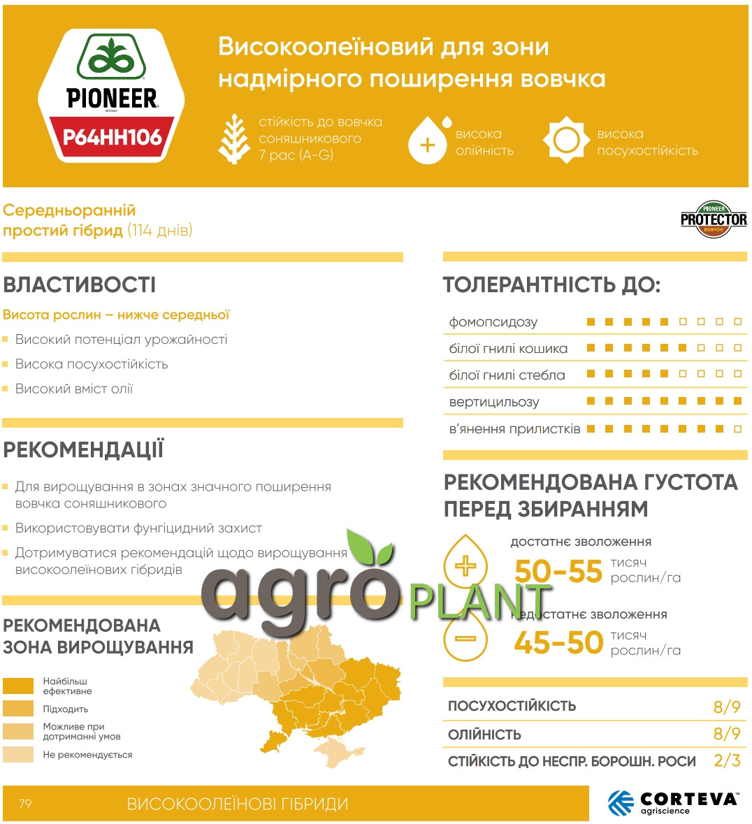 Информация о подсолнечнике П64ГГ106 / P64HH106 из каталога Пионер / Pioneer