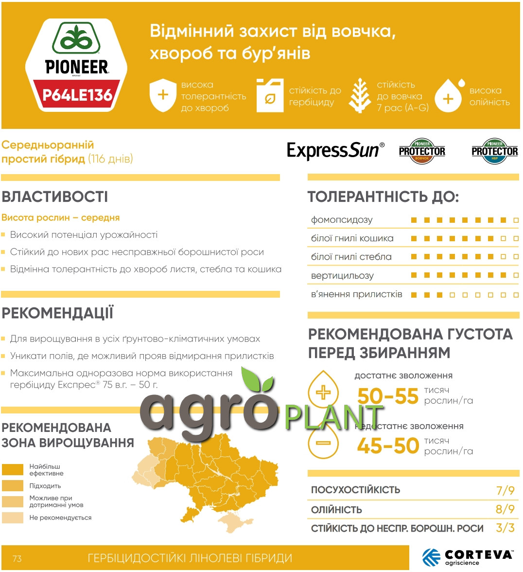 Информация о подсолнечнике П64ЛЕ136 / P64LE136 из каталога Пионер / Pioneer