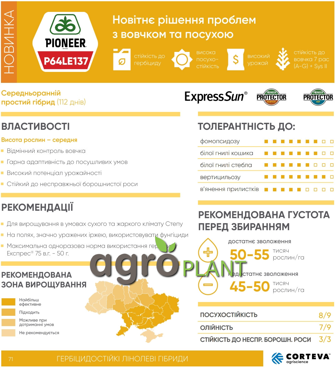 Информация о подсолнечнике П64ЛЕ137 / P64LE137 из каталога Пионер / Pioneer