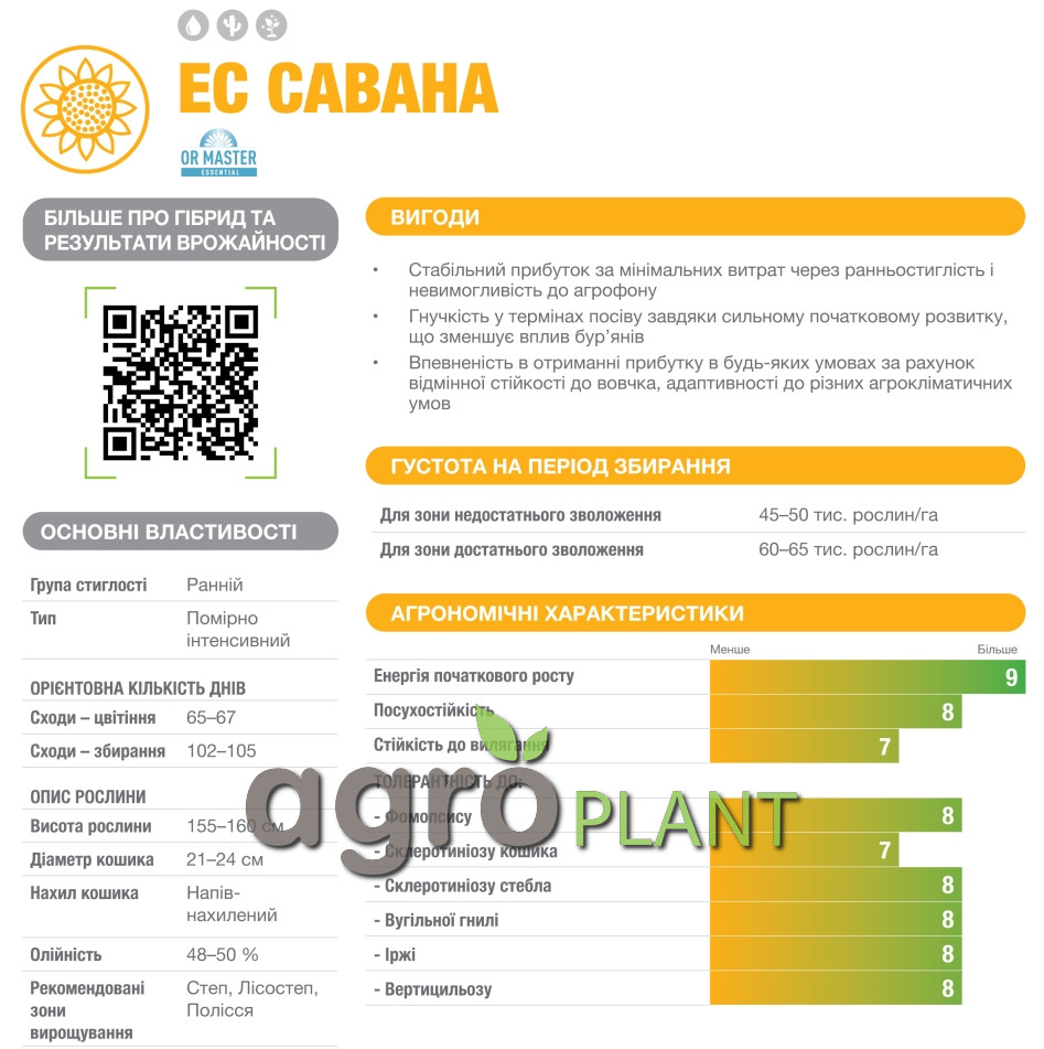Информация о подсолнечнике Саванна из каталога Лидеа / Lidea