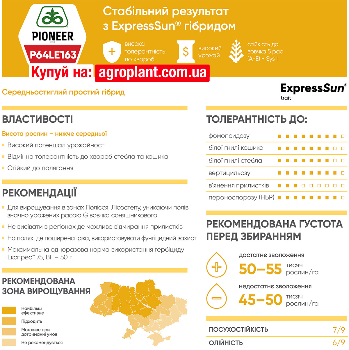 Піонер 163 соняшник характеристики