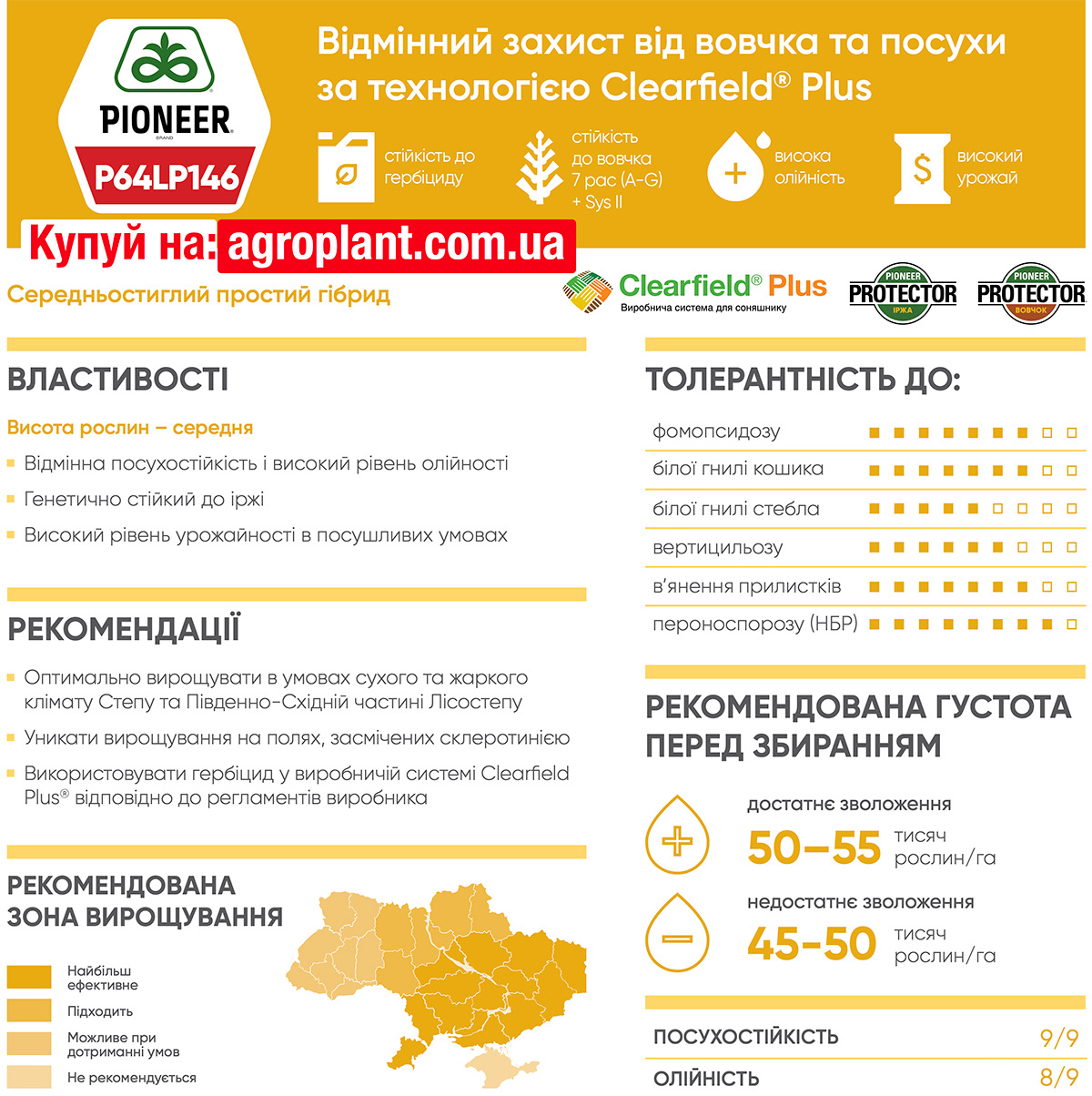 Піонер 146 соняшник характеристики