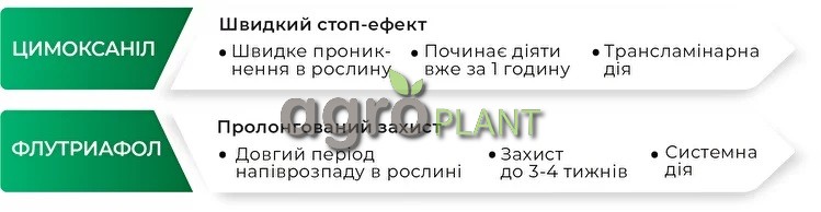 Быстрый стоп-эффект и длительный защитный эффект