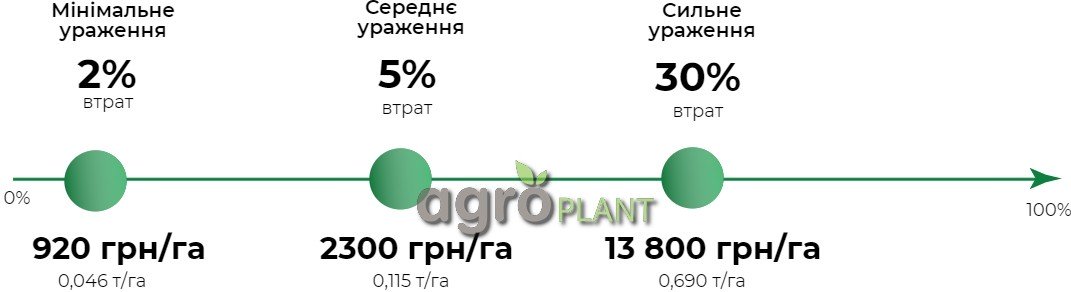 Збитки при хворобах соняшнику