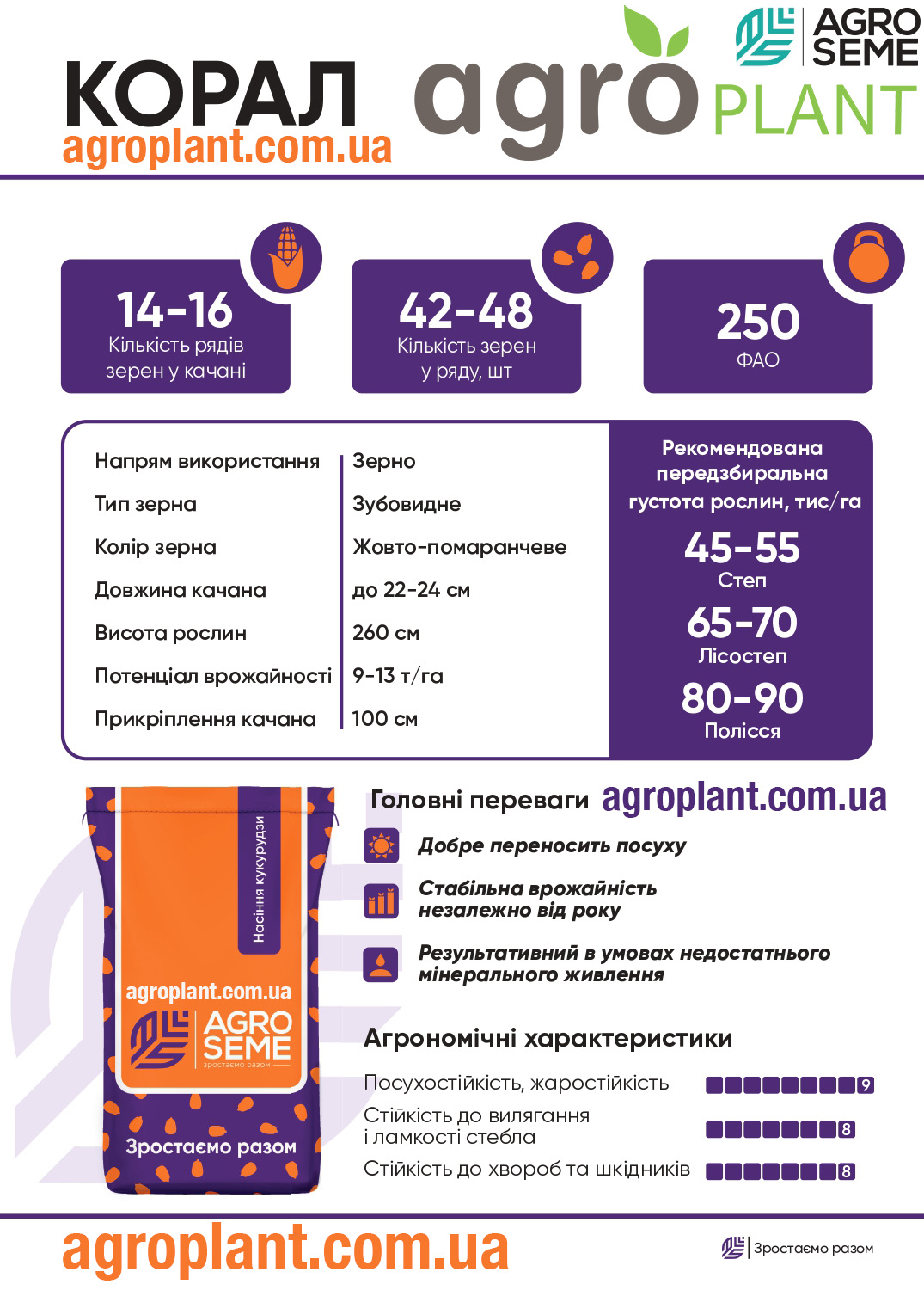 Кукурудза Корал АгроСеме