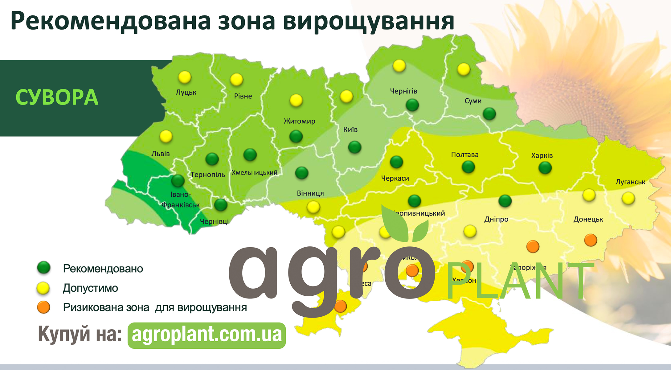 Сувора соняшник від Сингента - зони вирощування в Україні