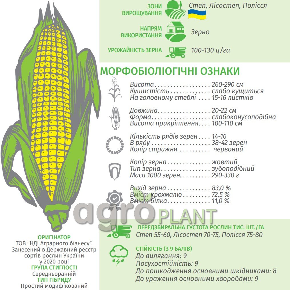 Кукурудза Шквал