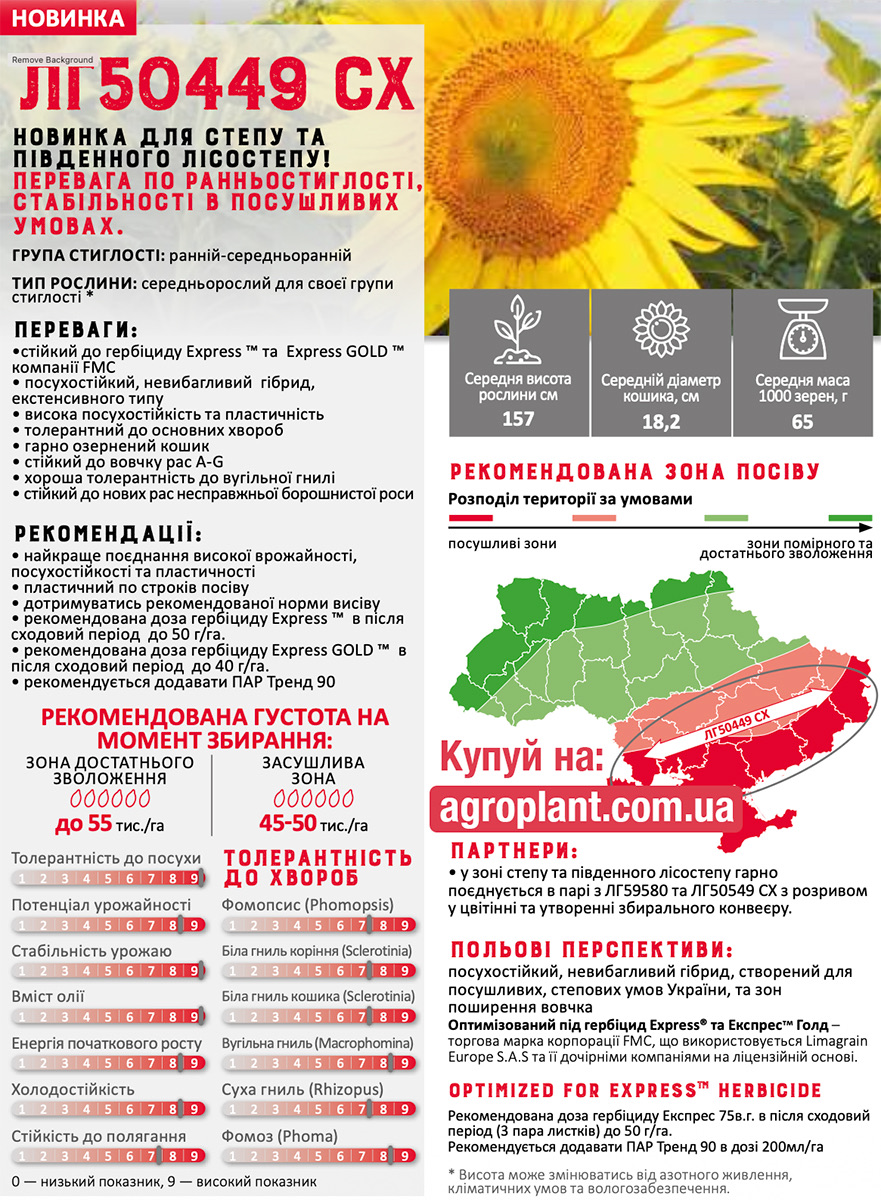 Лимагрейн 50449 характеристики подсолнечника