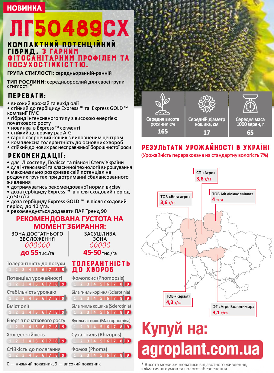 Лимагрейн 50489 характеристики подсолнечника