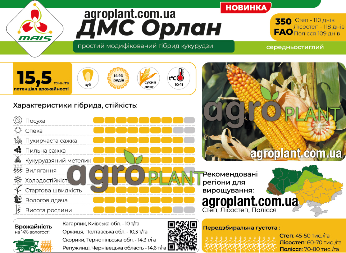 Кукурудза ДМС Орлан