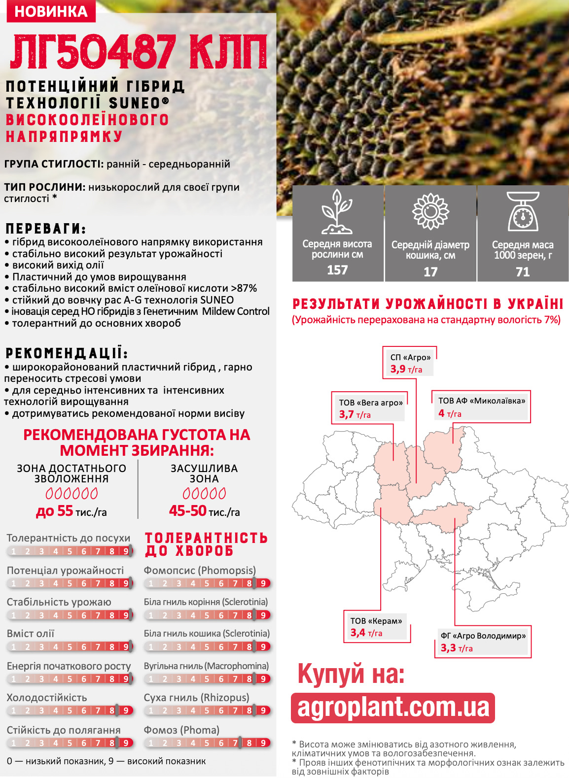 ЛГ 50487 соняшник Лімагрейн характеристики ЛГ 50487 соняшник Лімагрейн характеристики