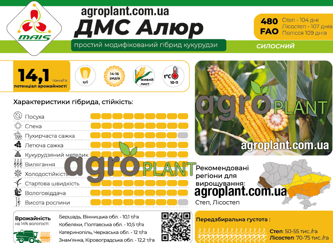 Насіння кукурудзи ДМС Алюр Маїс