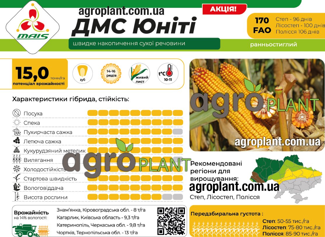 Насіння кукурудзи ДМС Юніті