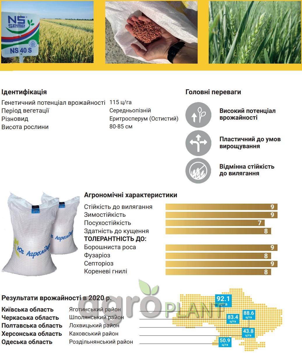 Озимая Пшеница НС 40С