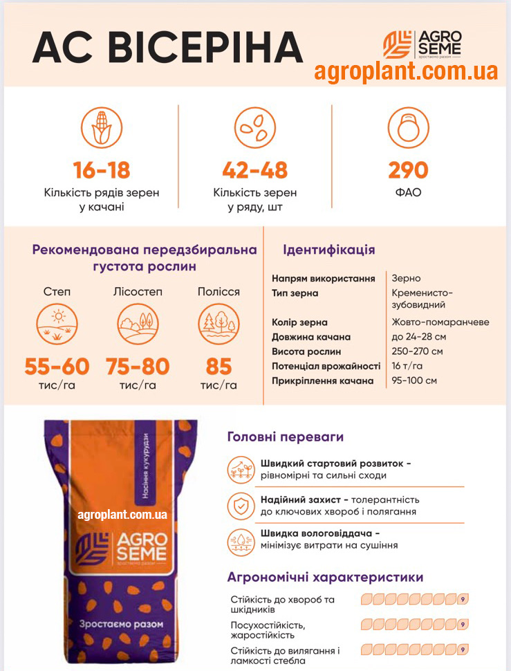 Насіння кукурудзи Вісеріна
