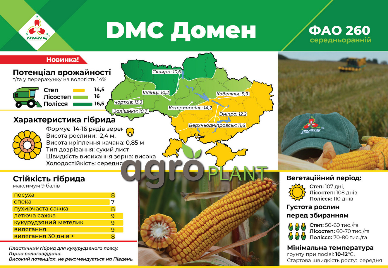 Кукуруза ДМ Домен Маис