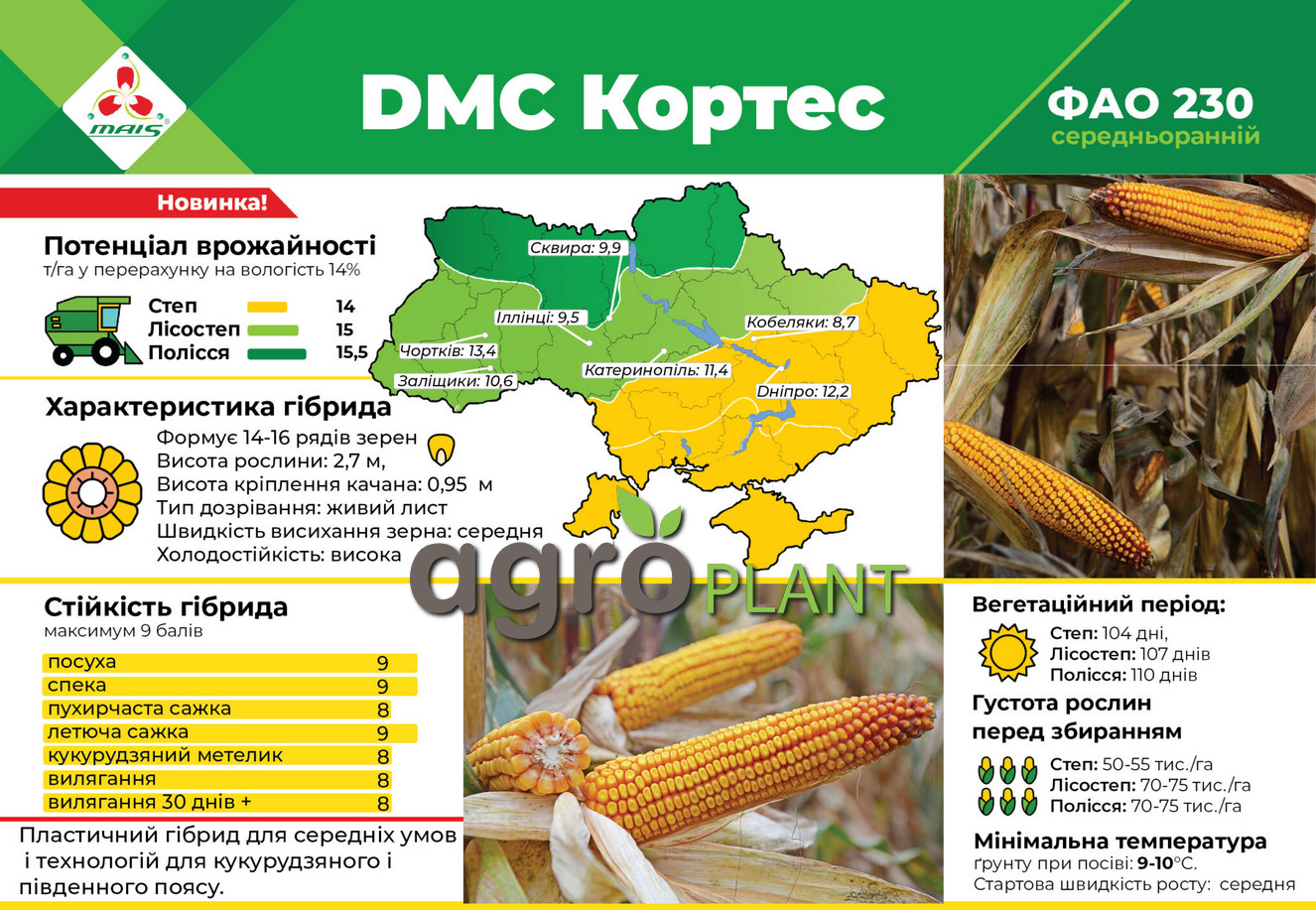 Кукуруза ДМ Кортес Маис