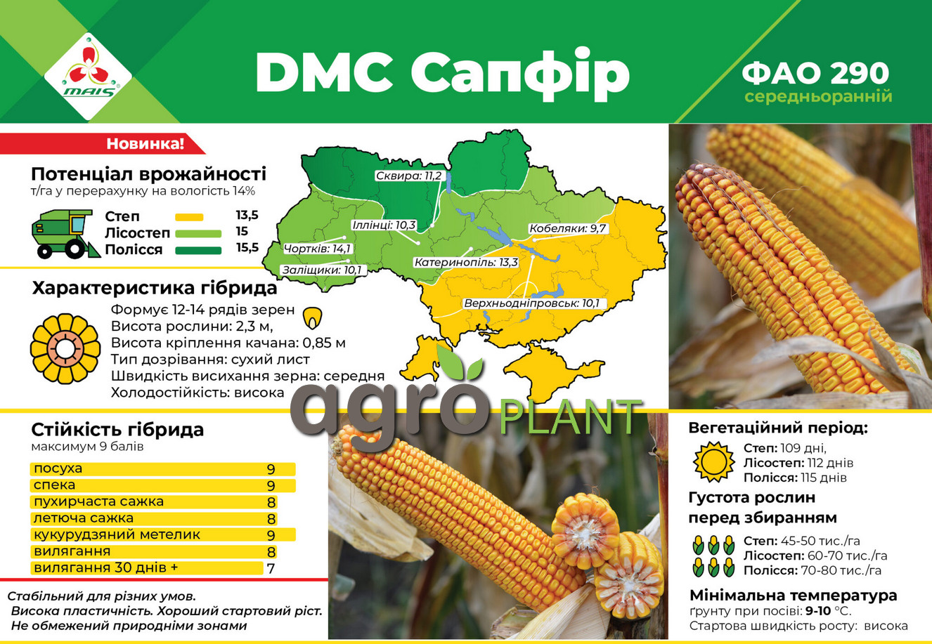 Кукуруза ДМ Сапфир Маис