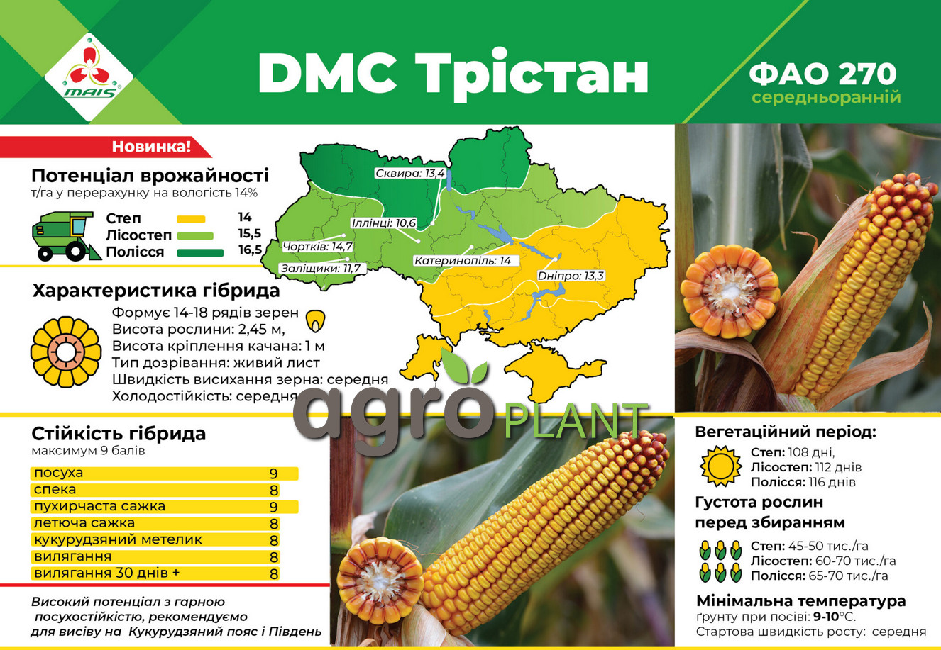 Кукуруза ДМ Тристан Маис