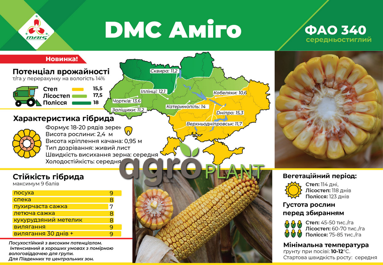 Кукурудза ДМС Аміго Маїс