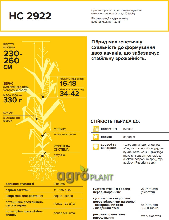 Купити Кукурудзу НС 2922 Нертус