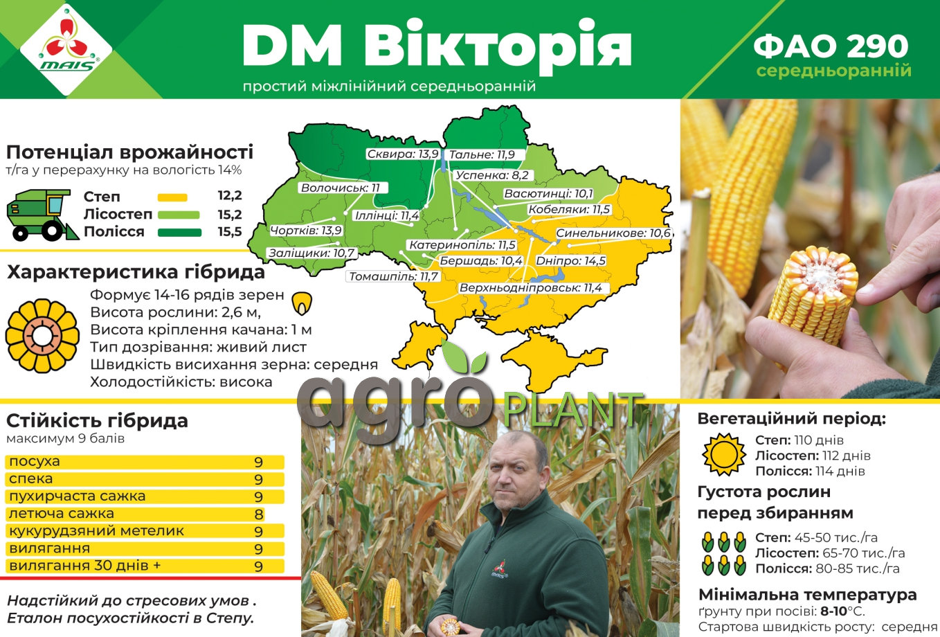 Насіння кукурудзи ДМ Вікторія