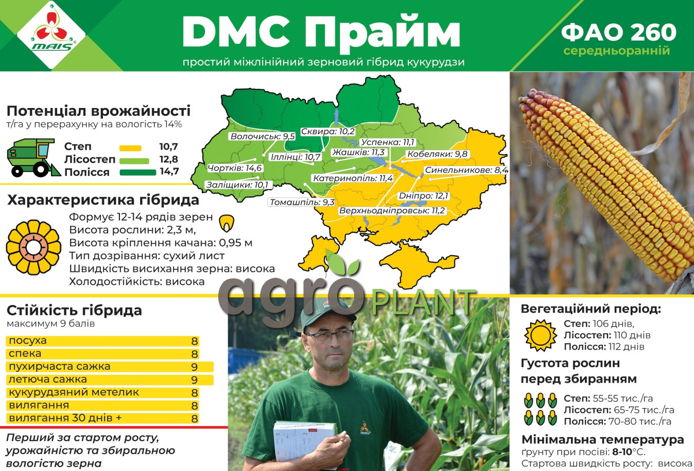 Кукуруза ДМС Прайм МАИС