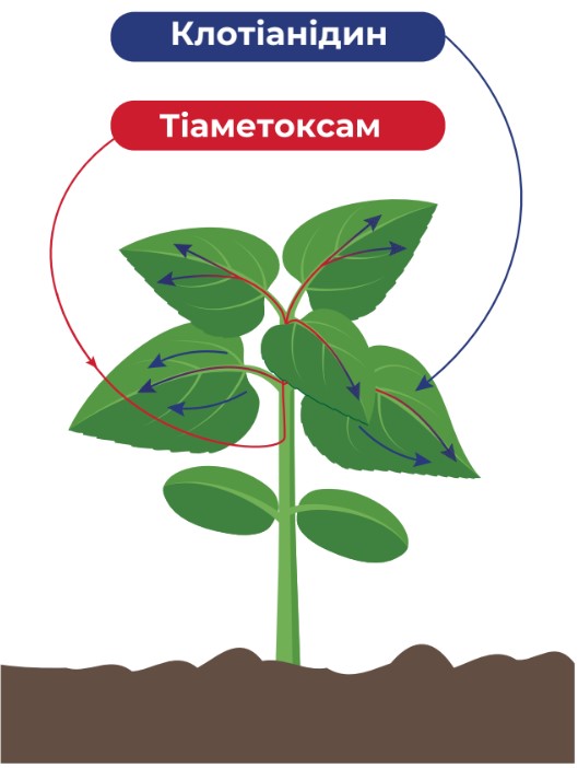 Контроль полного спектра основных вредителей инсектицидом Тиаклотрин-М