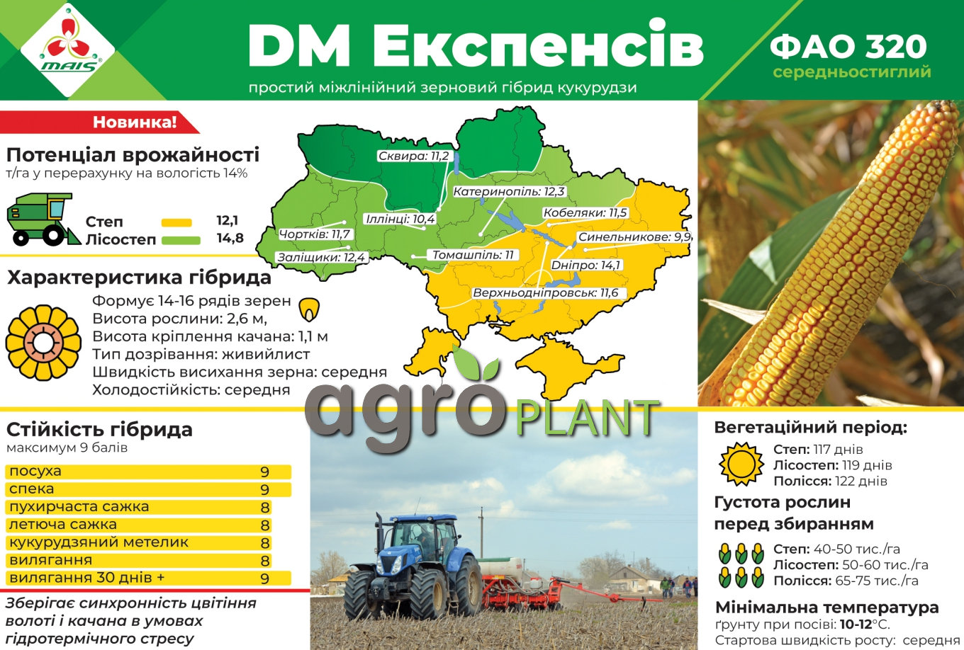 Кукурудза ДМ Експенсів МАЇС