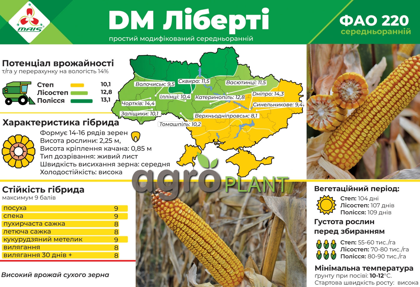 Кукуруза ДМ Либерти МАИС