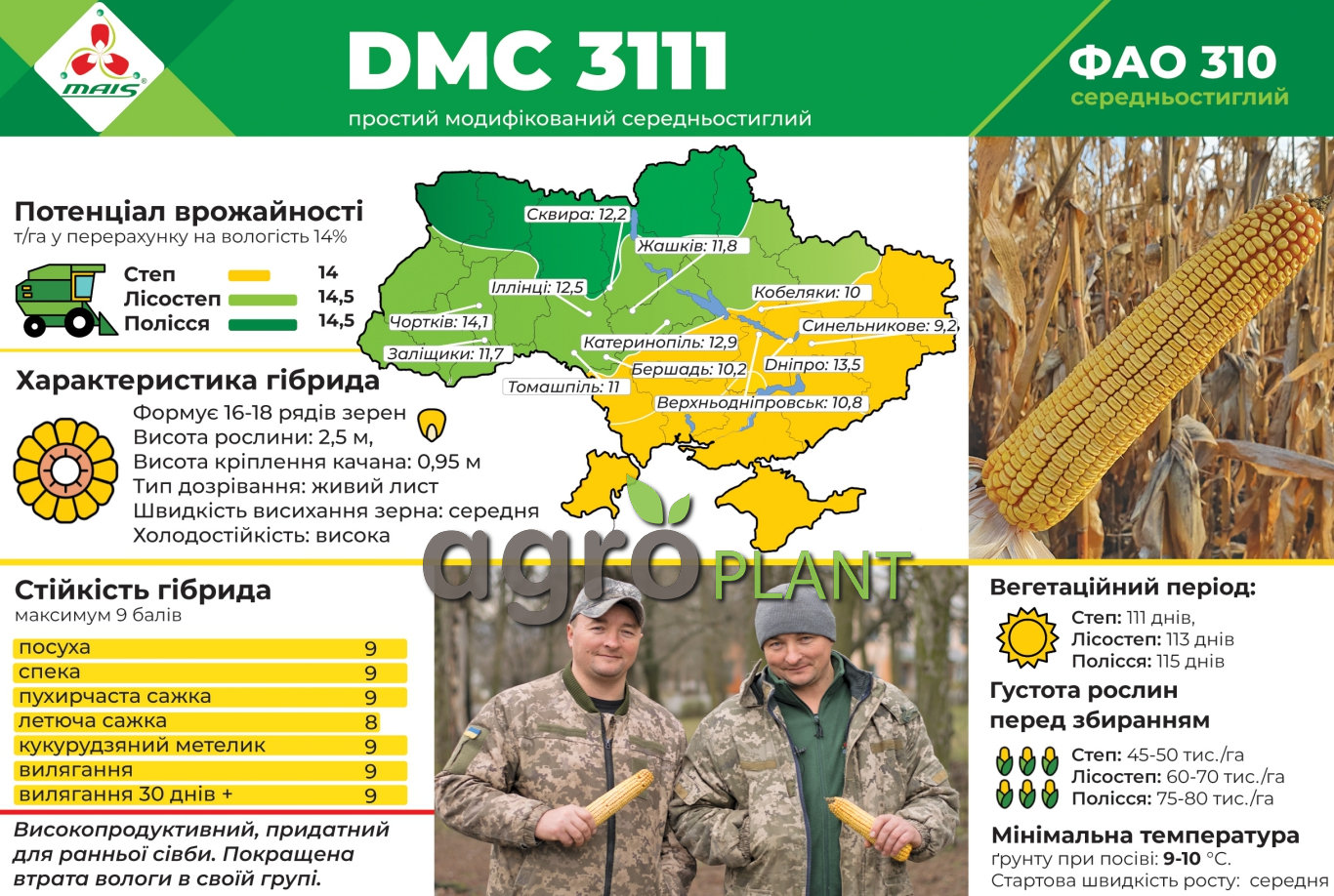 Кукуруза 3111 Маис Кукуруза 3111 Маис