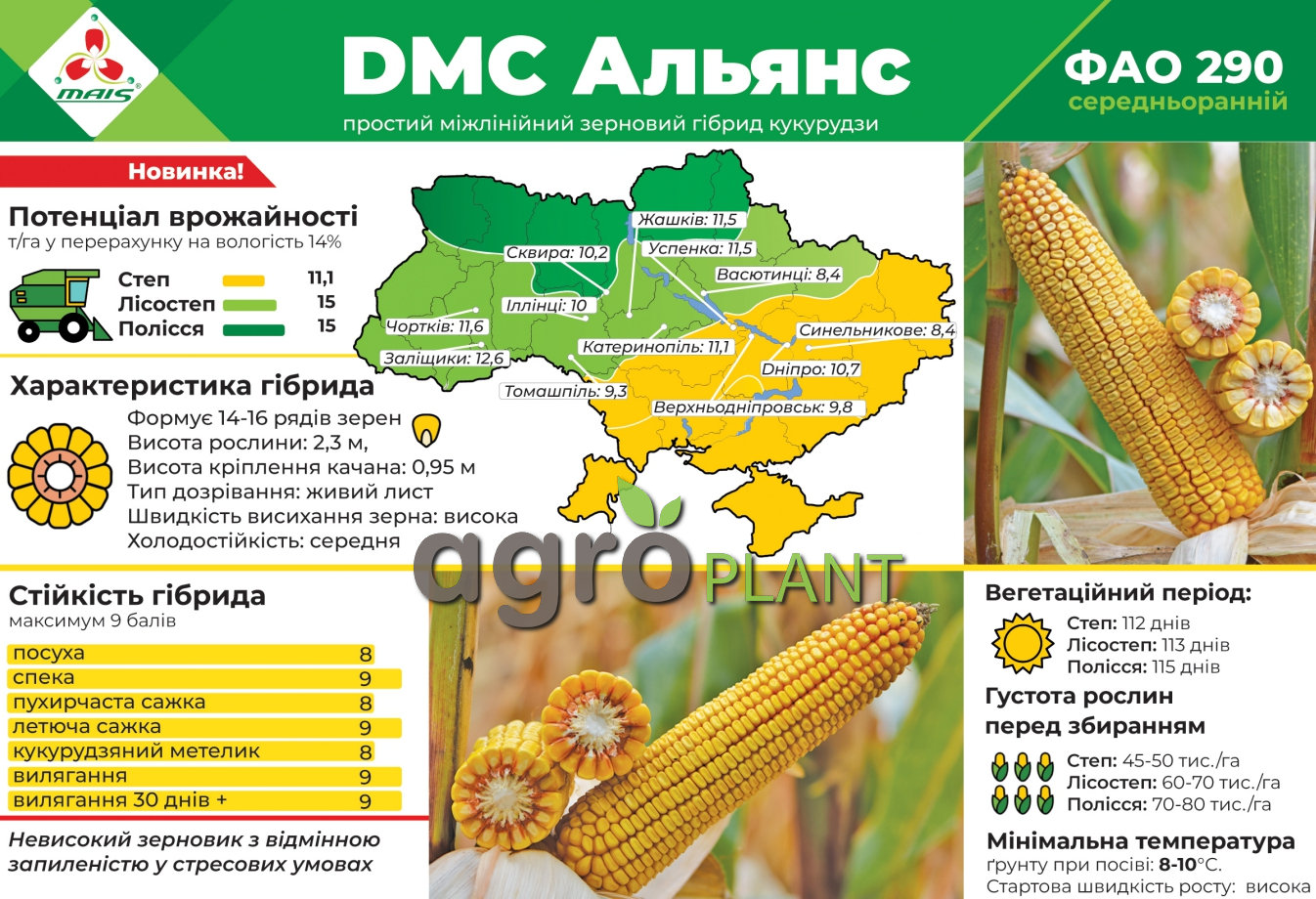 Насіння кукурудзи ДМС Альянс