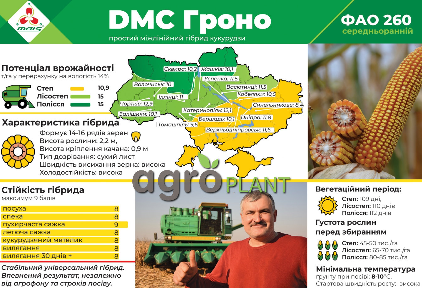 Урожайность кукурузы ДМС Гроно и Характеристики
