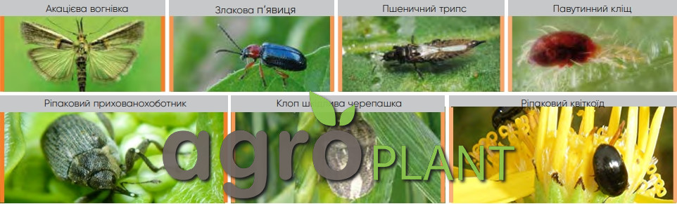Какие вредители контролирует Джеронимо